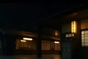夜风吹动窗帘与窗外楼宇灯光，窗外有风剧照